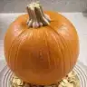 egzotikabak