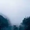 rarifiori