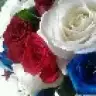 iva
