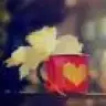 Papatya_63