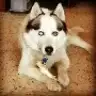 lakshmi