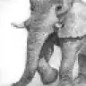 mimaras