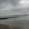 Secil33