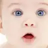 ayaz23