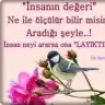 dilekkivrak