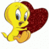 alev***