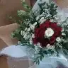 nnurefsa