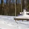 sevimlicivciv