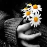 _polyanna