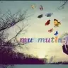 261merve
