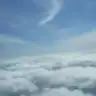 Barbara73