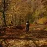 hafsamelek