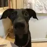 Wake uptime