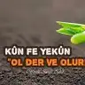 Defne Bade