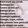 Havince