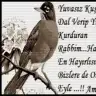 Fatmay78