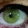 Kedi_gozlu