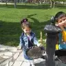 sevgielif