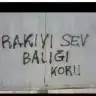 _poine_
