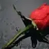 nerimanboyla
