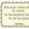 ---sedda---