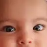 hndl