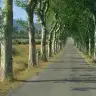 guvercinn