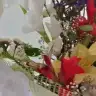 debolat