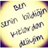 -Arya-