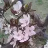 myemt