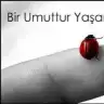 ghdsvhjg
