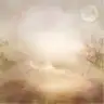 sedddef35