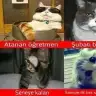 kedikiz2828