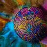 ebru232