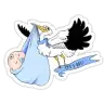 cicito