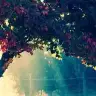 kalpten-00