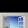 beyaz krizantem