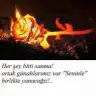 helin2802