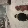 minelmiaaa
