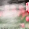 ayperi90