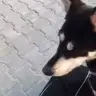 doktorcukk