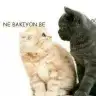 fatosxxx