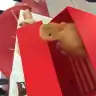 Wantamagic