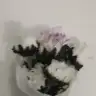 ezgi00002