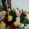 sultanim1