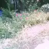 ucul