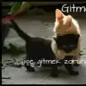 Aysgl23