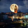 Bosvergitsin