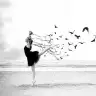 dance29