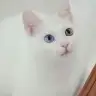 OnDu